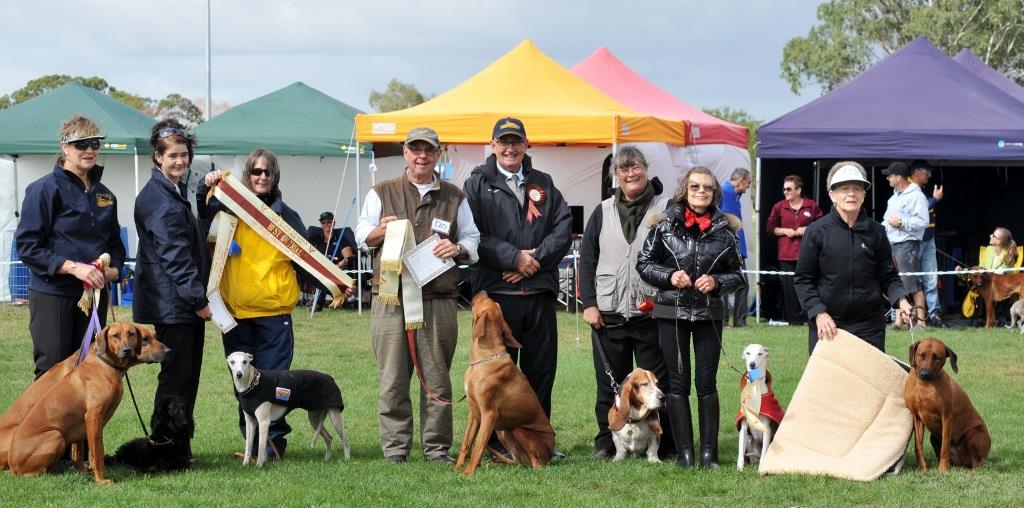 Obedience Hounds